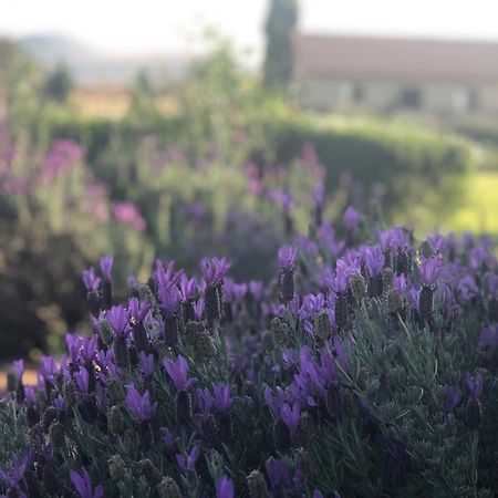 Mount High Luxury Country Estate Villa Lydenburg Luaran gambar