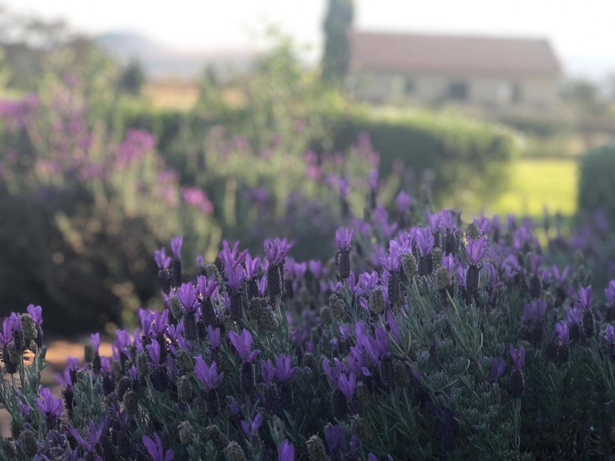Mount High Luxury Country Estate Villa Lydenburg Luaran gambar