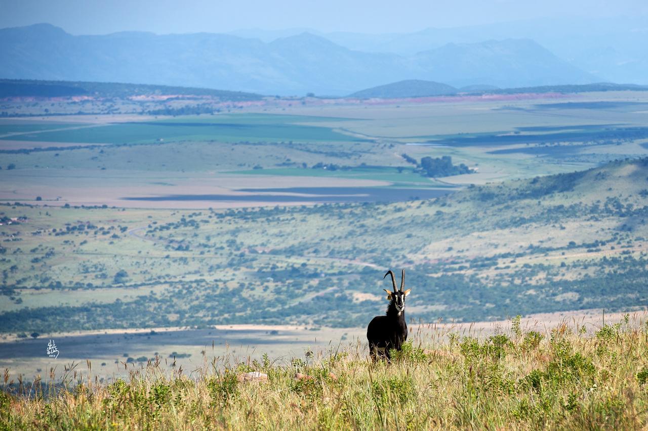 Mount High Luxury Country Estate Villa Lydenburg Luaran gambar